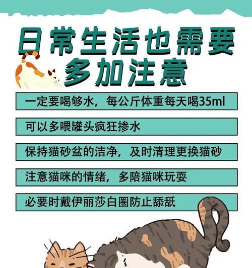 小猫上厕所的时间和方法（了解宠物猫的大小便规律）